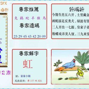 六合皇报