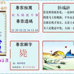 六合皇报